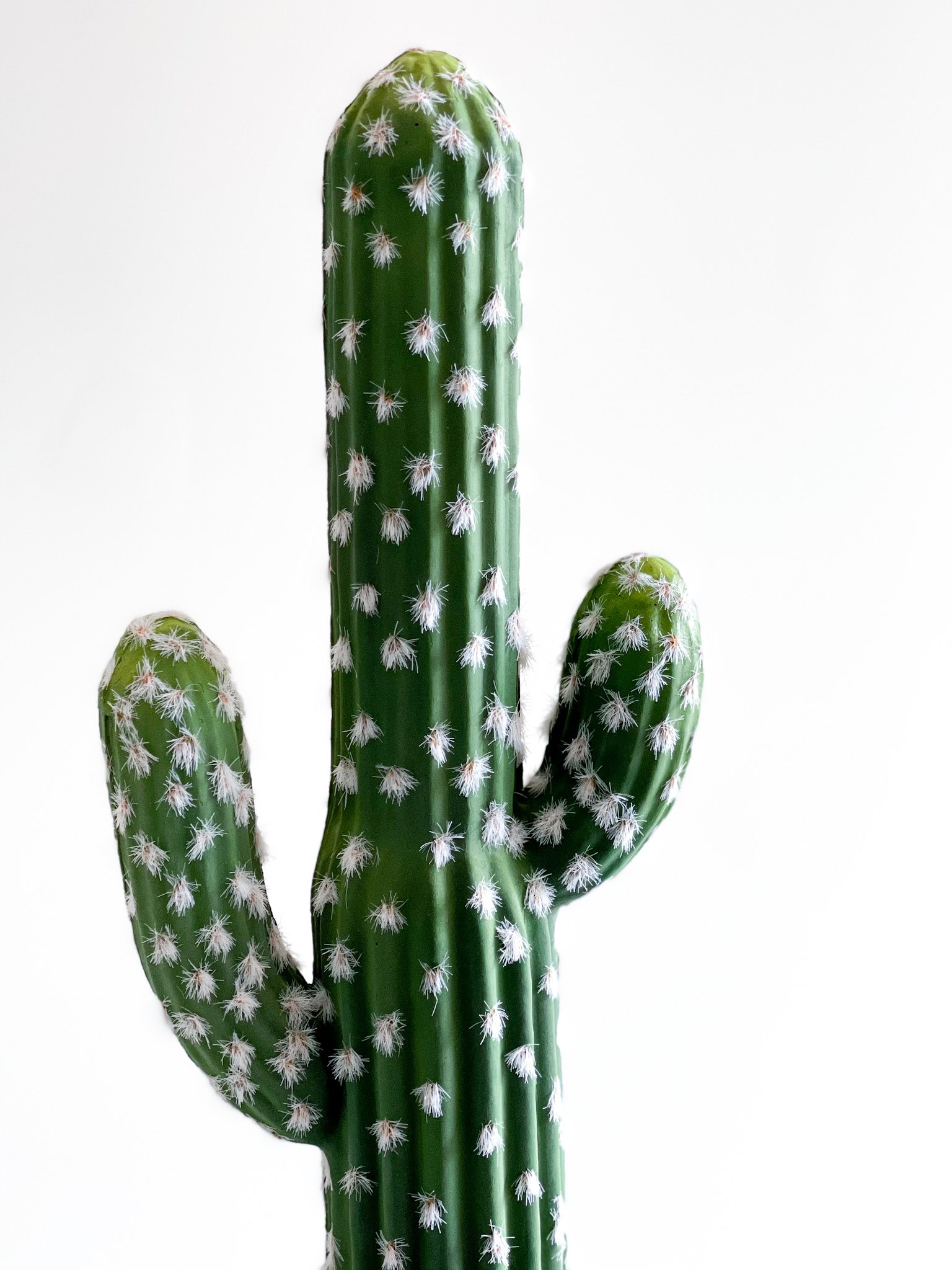 Everlasting Cactus - No.1