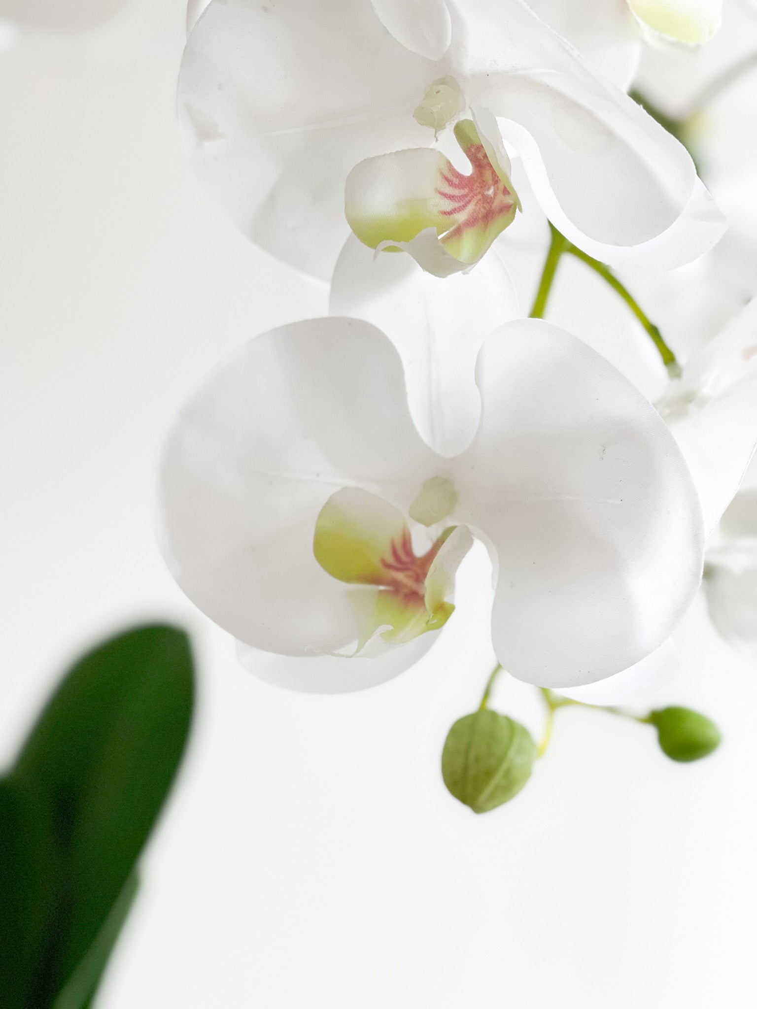 Orchid Flower Arrangement in Round Flower Pot