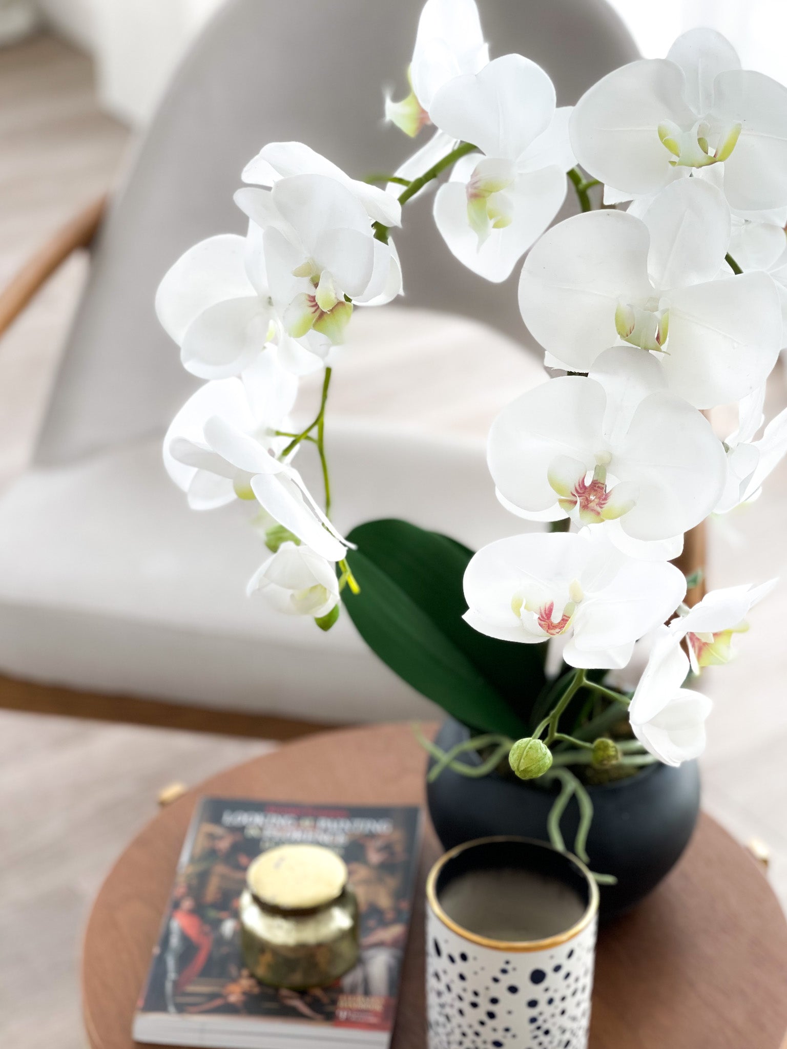 Orchid Flower Arrangement in Round Flower Pot