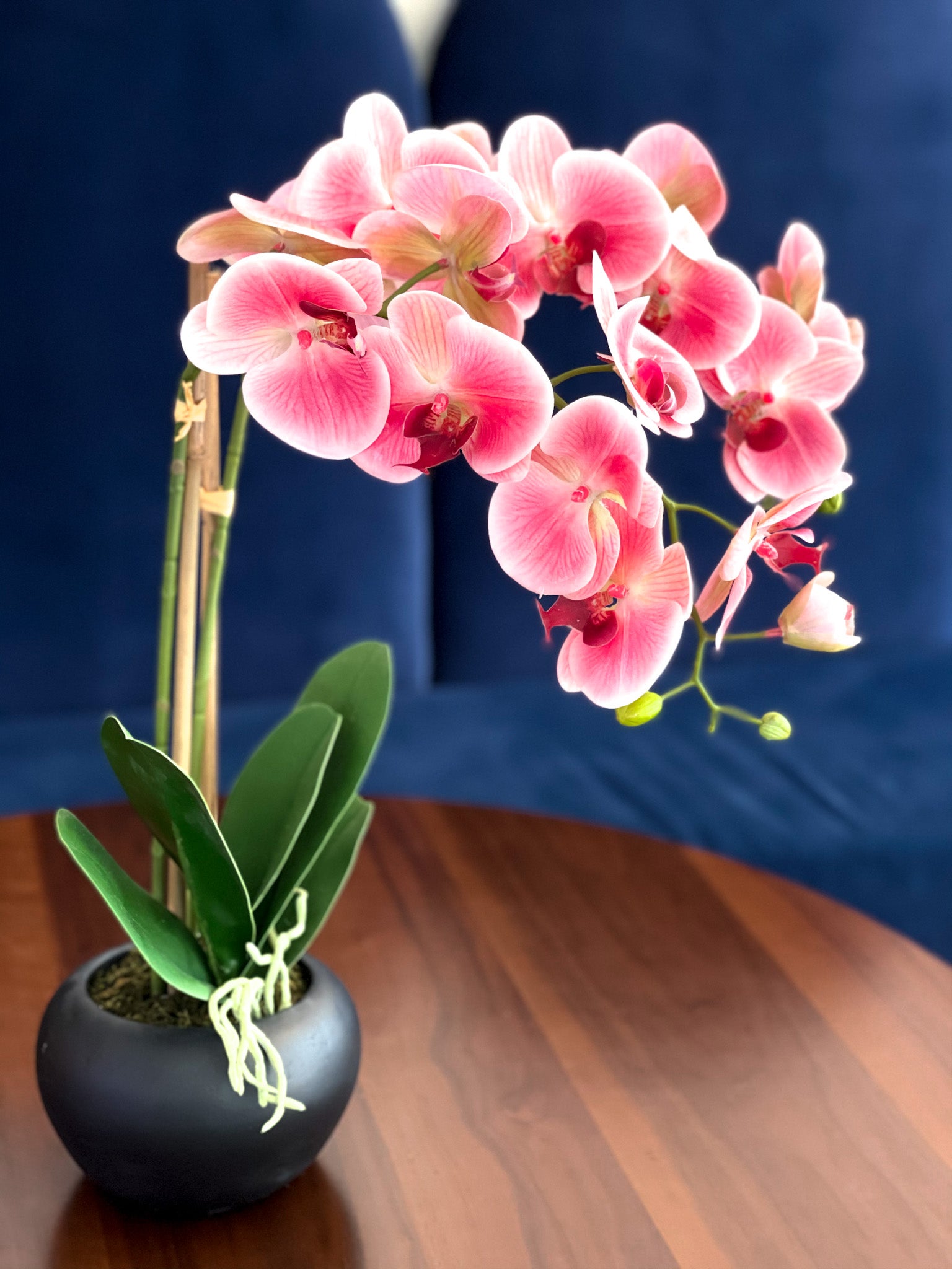 Orchid Flower Arrangement in Round Flower Pot