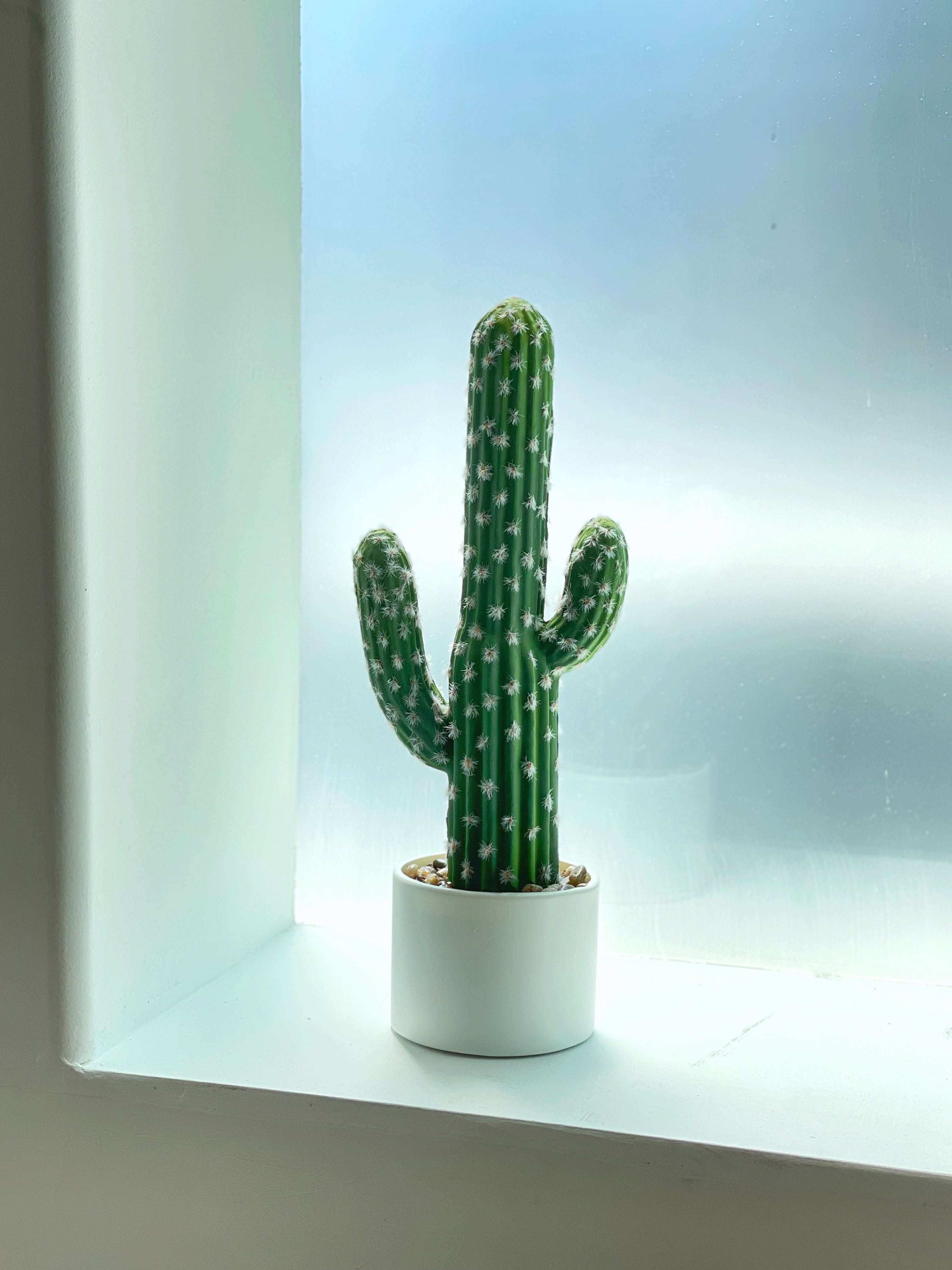 Everlasting Cactus - No.1