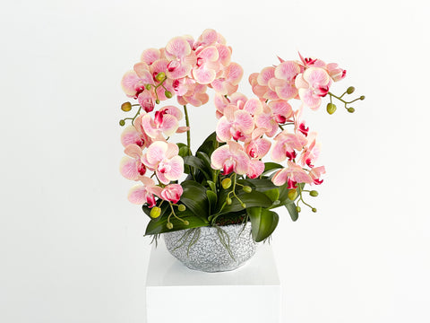 Artificial Blush Orchid Arrangement in Silver Pot